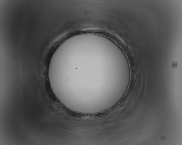 X0000103901351200809191045