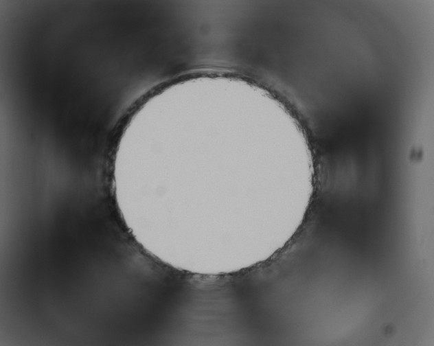 X0000103901352200809191045
