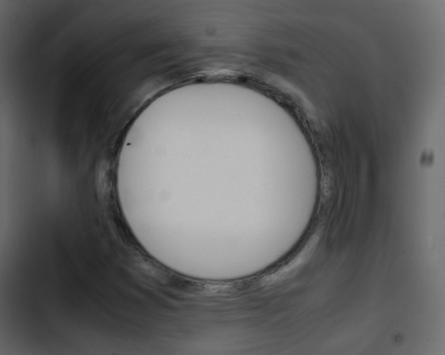 X0000103901353200809191045