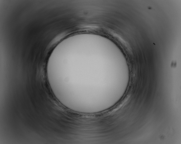 X0000103901354200809191045