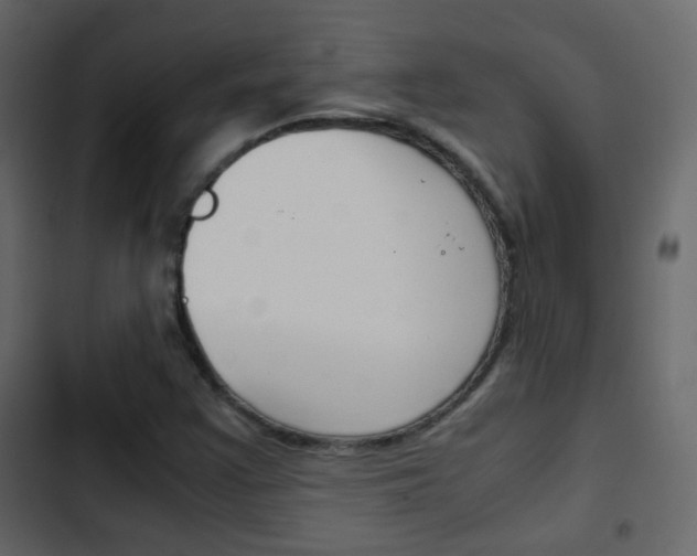 X0000103901355200809191045