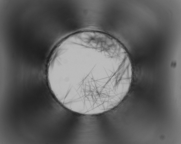 X0000103901356200809191045