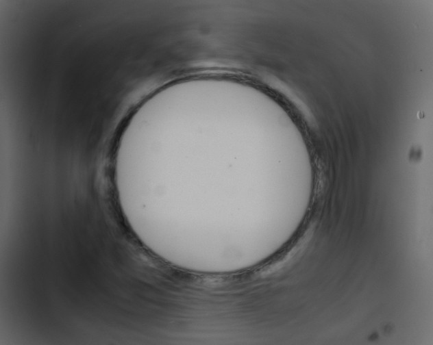 X0000103901357200809191045
