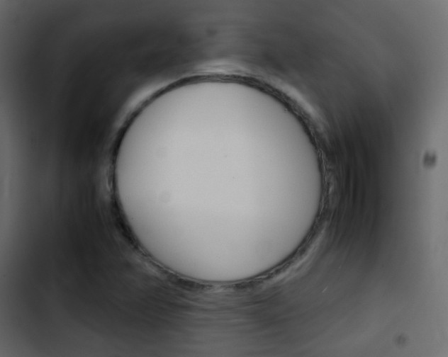 X0000103901358200809191045