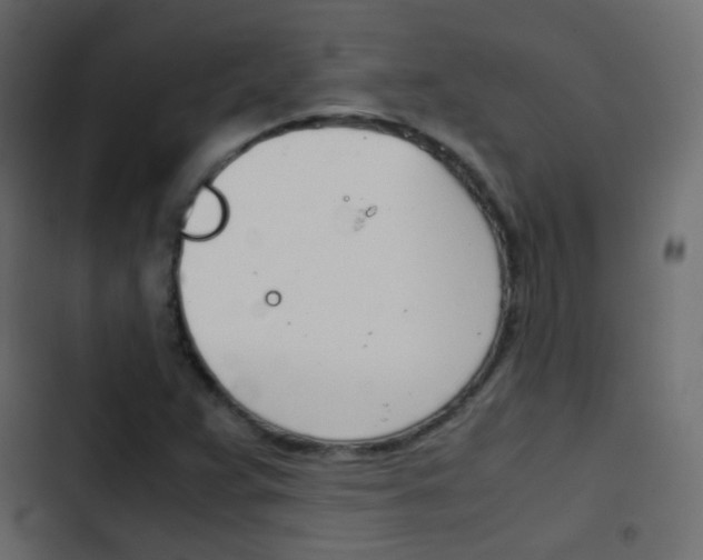 X0000103901359200809191045