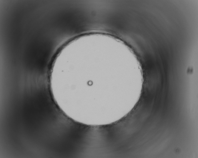 X0000103901360200809191045