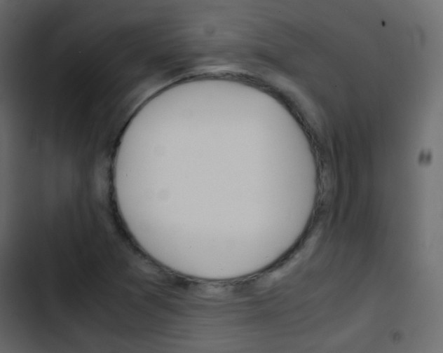 X0000103901361200809191045