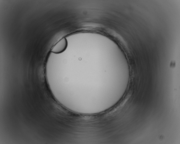 X0000103901362200809191045