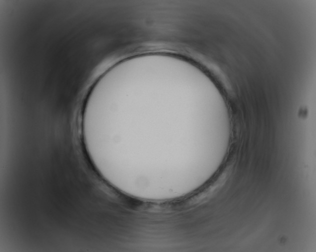 X0000103901365200809191045