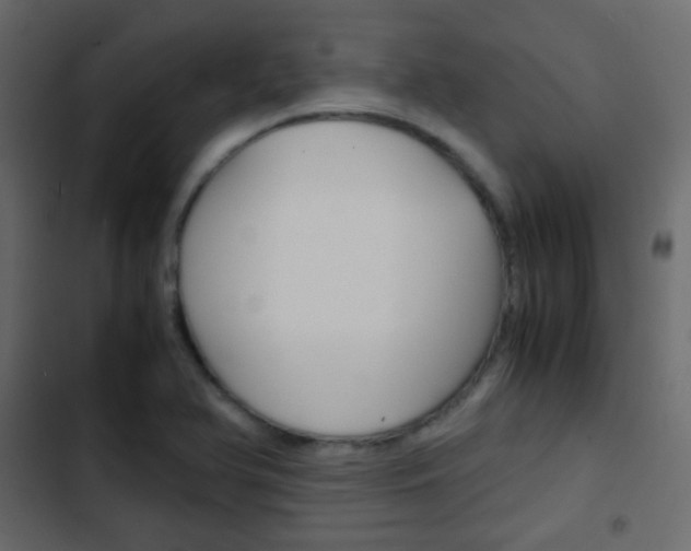 X0000103901366200809191045