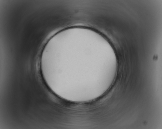X0000103901367200809191045