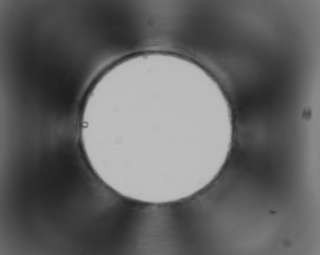 X0000103901368200809191045