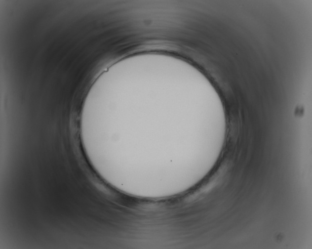 X0000103901369200809191045