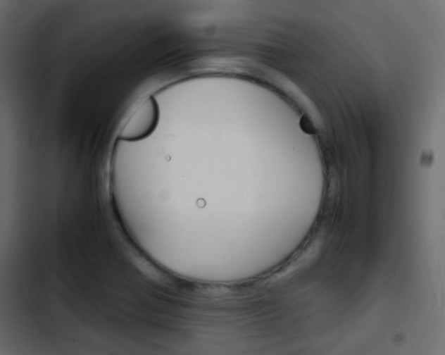 X0000103901370200809191045