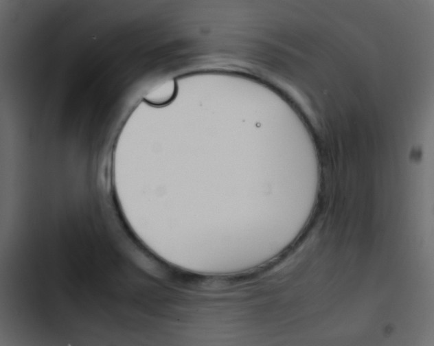 X0000103901371200809191045