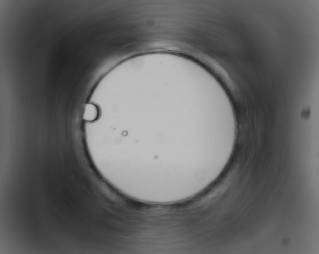 X0000103901373200809191045