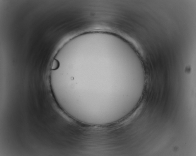 X0000103901374200809191045