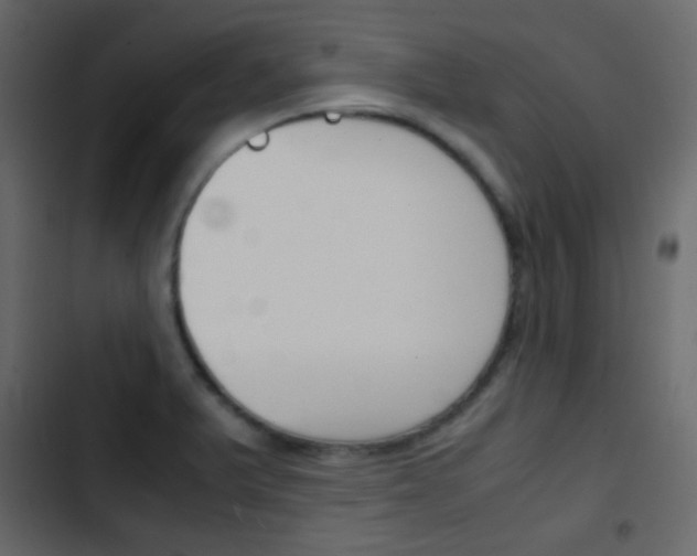X0000103901375200809191045