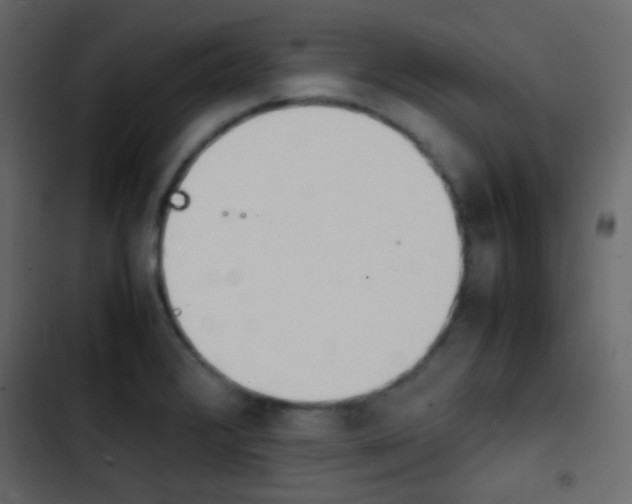 X0000103901376200809191045