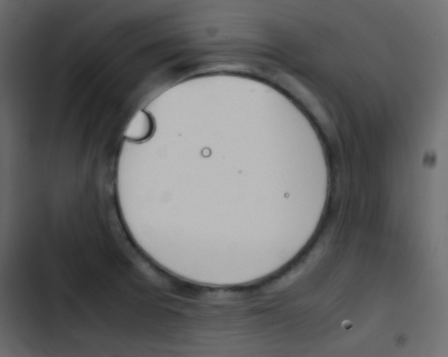 X0000103901377200809191045