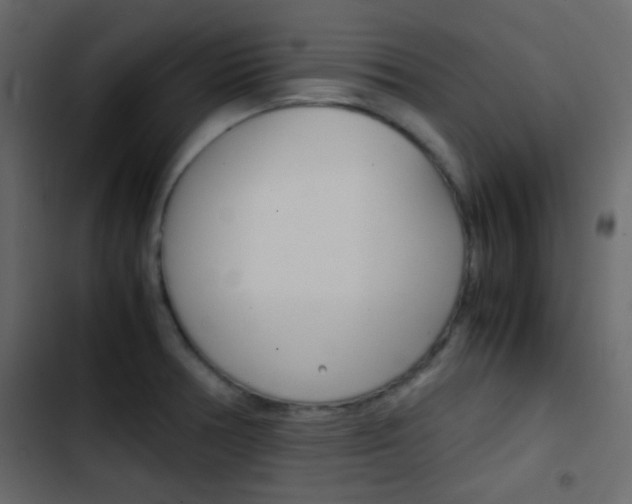 X0000103901378200809191045