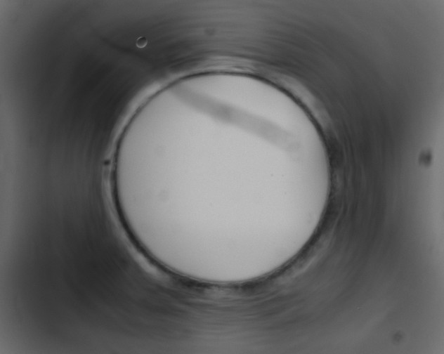 X0000103901379200809191045