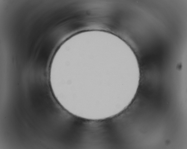X0000103901380200809191045