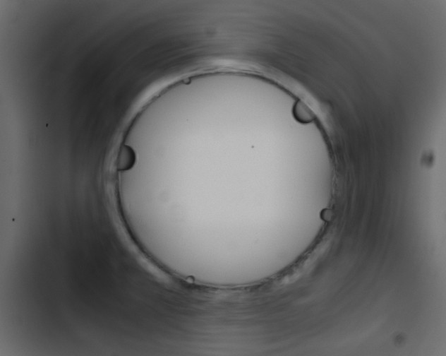 X0000103901381200809191045