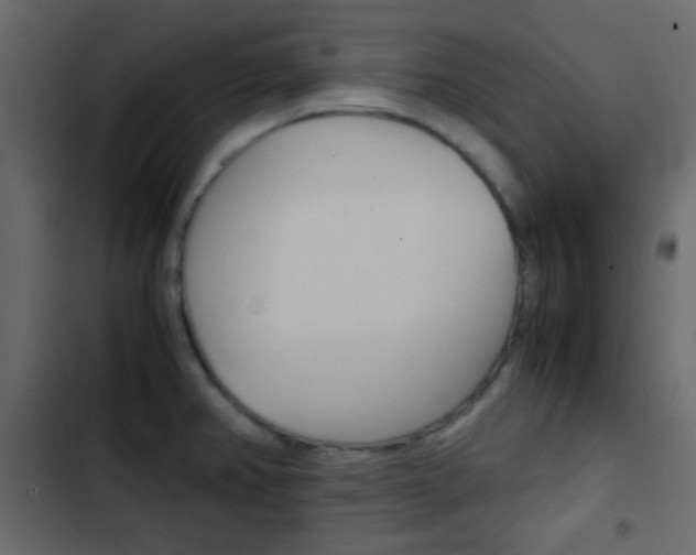 X0000103901382200809191045