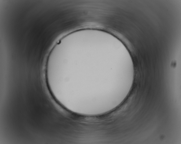 X0000103901383200809191045