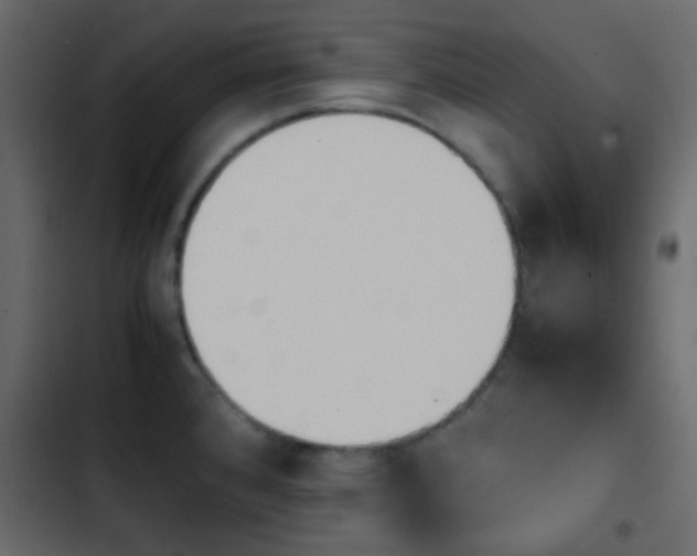 X0000103901384200809191045