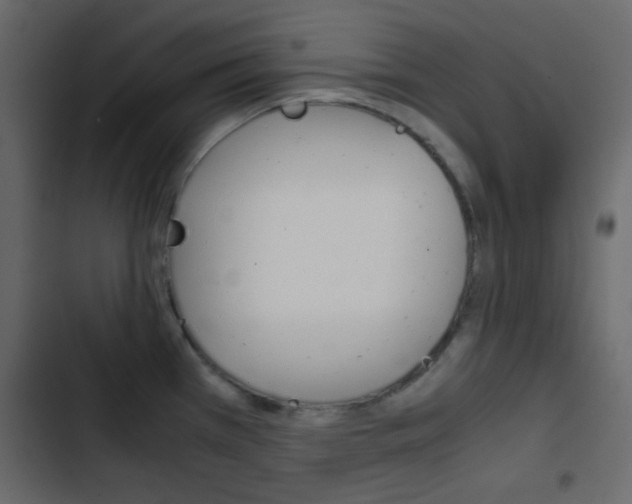 X0000103901385200809191045
