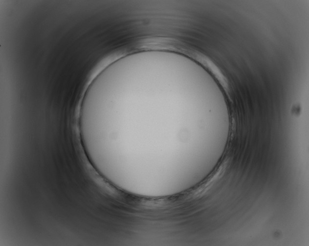 X0000103901386200809191045