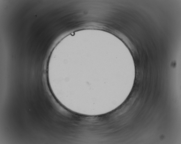 X0000103901387200809191045