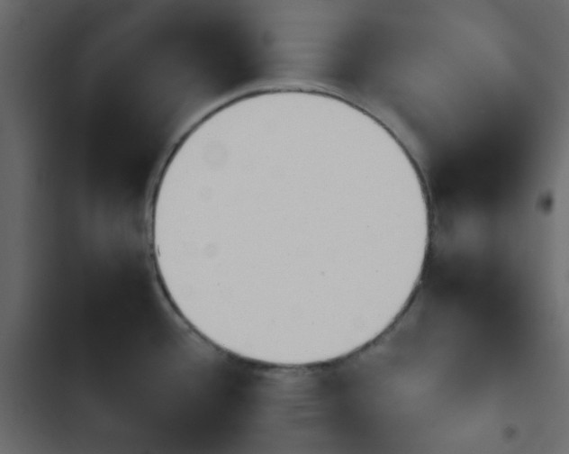 X0000103901388200809191045