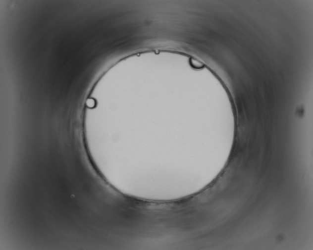 X0000103901389200809191045