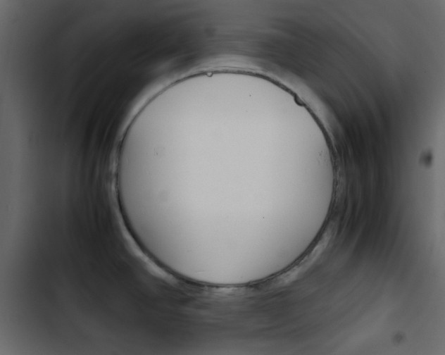 X0000103901390200809191045
