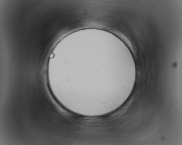X0000103901391200809191045