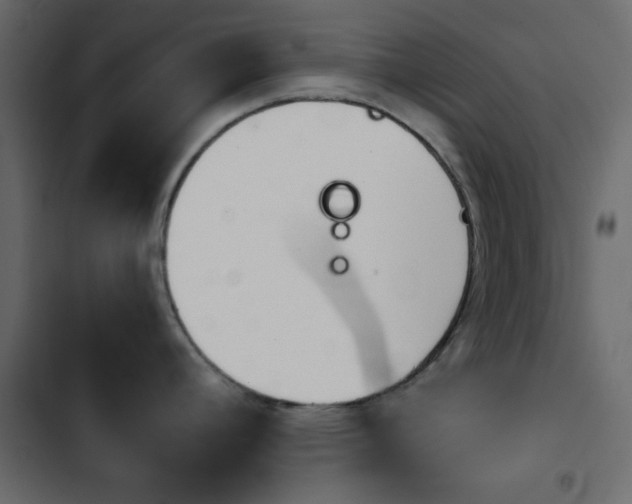 X0000103901392200809191045