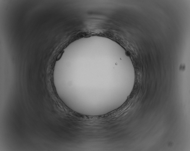 X0000103901393200809191044