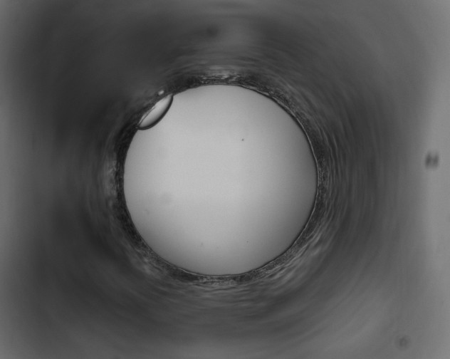 X0000103901394200809191044