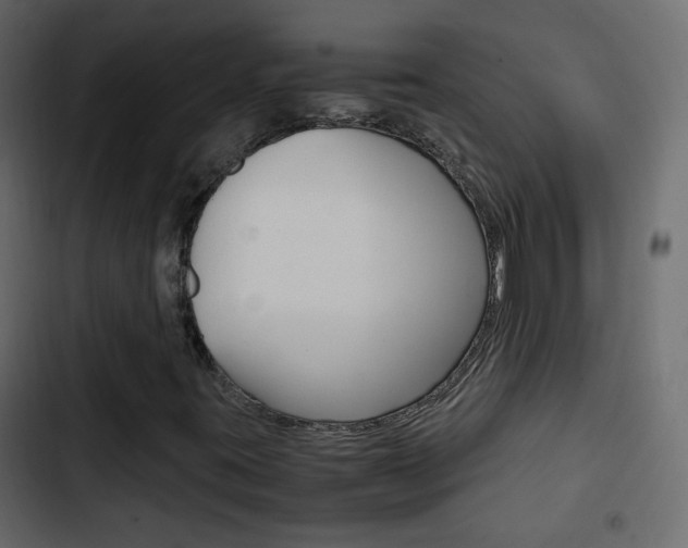 X0000103901395200809191044