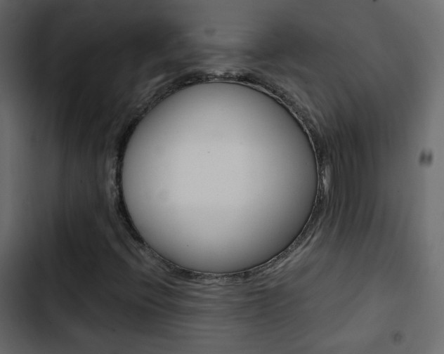 X0000103901396200809191044