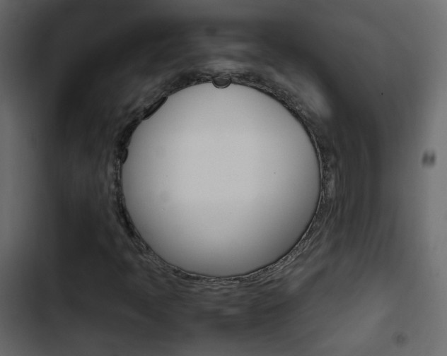 X0000103901397200809191044