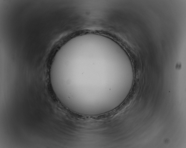 X0000103901398200809191044