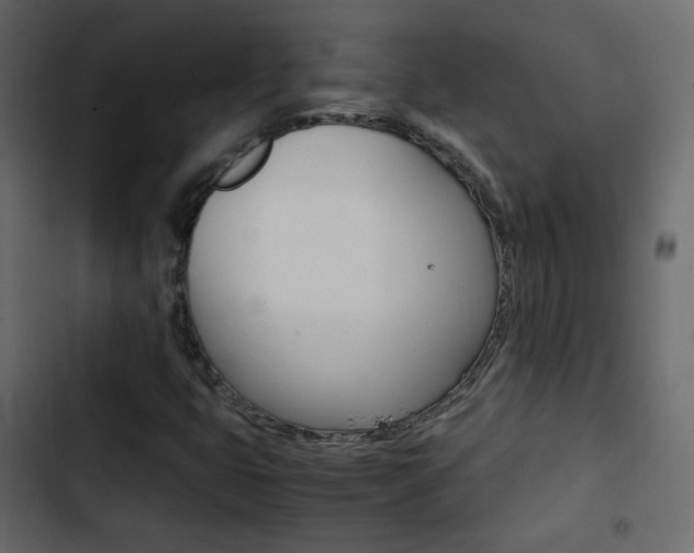 X0000103901399200809191044