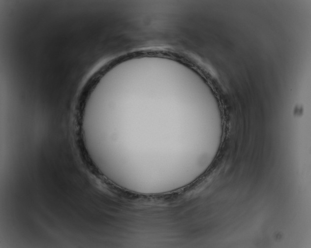 X0000103901400200809191044