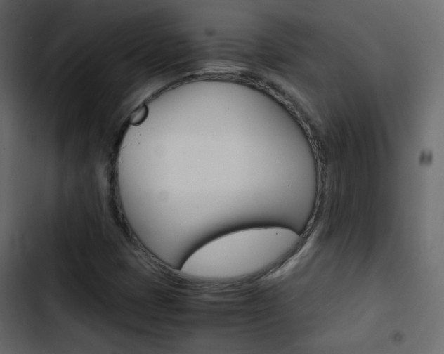 X0000103901401200809191044