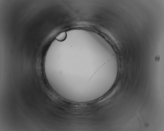 X0000103901403200809191044