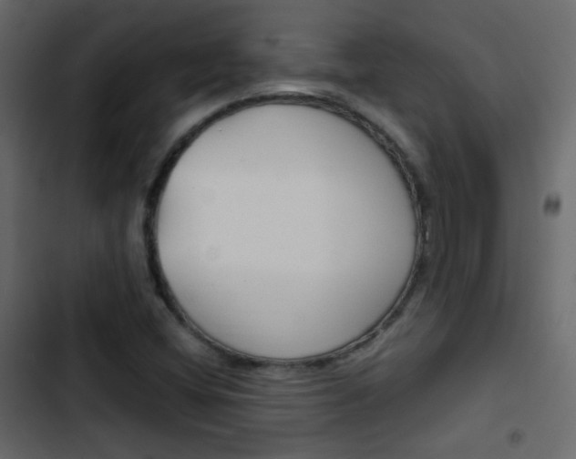 X0000103901404200809191044